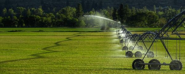 Irrigation Repair Service