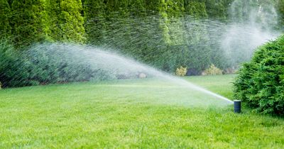 Sprinkler Repair Consultation