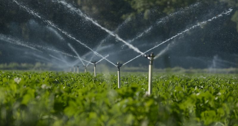 Commercial Irrigation Contractors