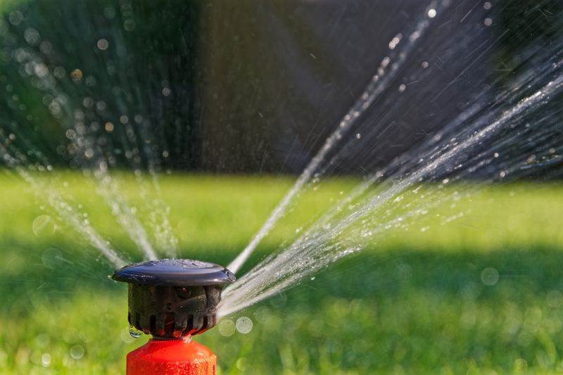 Yard Irrigation Installation in Honolulu, HI